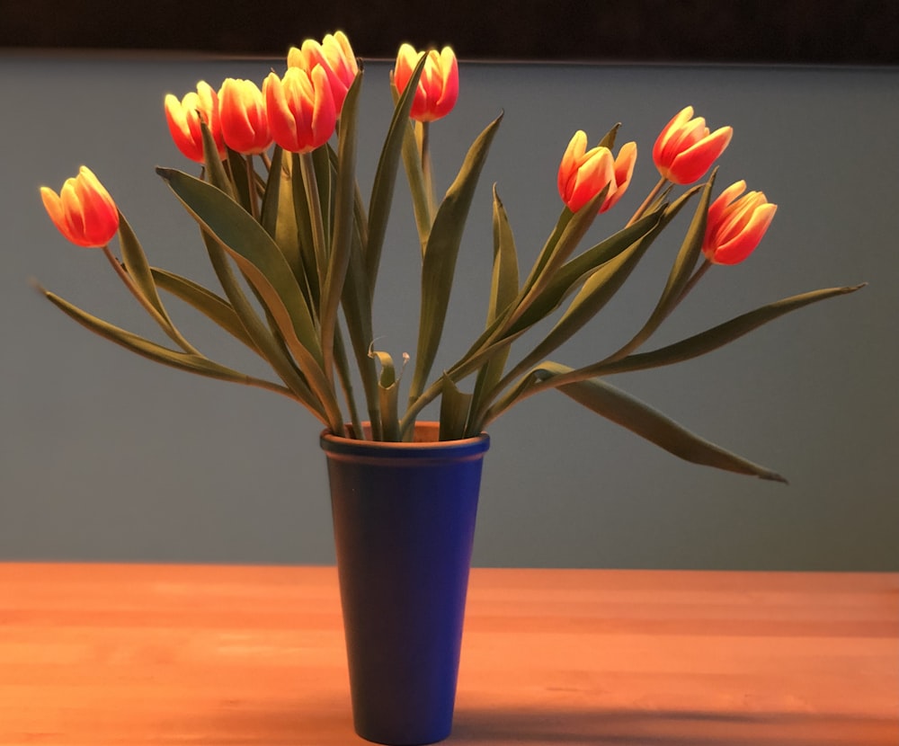 orange and yellow tulips in blue vase