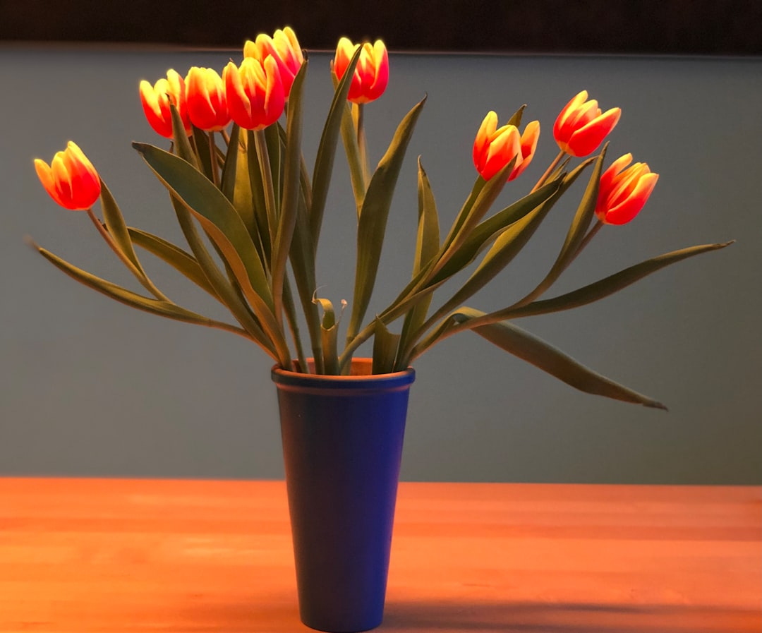 orange and yellow tulips in blue vase