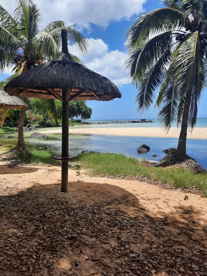 A serene beach scene featuring a straw parasol surrounded by lush palm trees. The sandy beach leads to a calm body of water, with a wooden pier extending into the distance. Rocks and grassy patches add texture to the foreground.