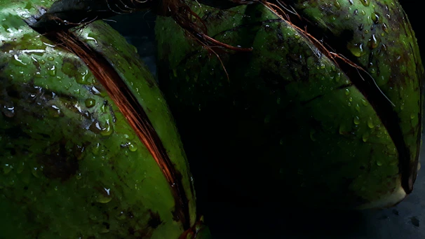 Close-up of a vibrant green young coconut with droplets of water on its surface