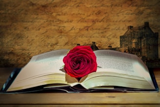 An open book lies on a wooden surface, with a vibrant red rose placed in the center. The book's pages are partially visible, and the background features an aged, weathered parchment with cursive script and a faint image of an old stone building.