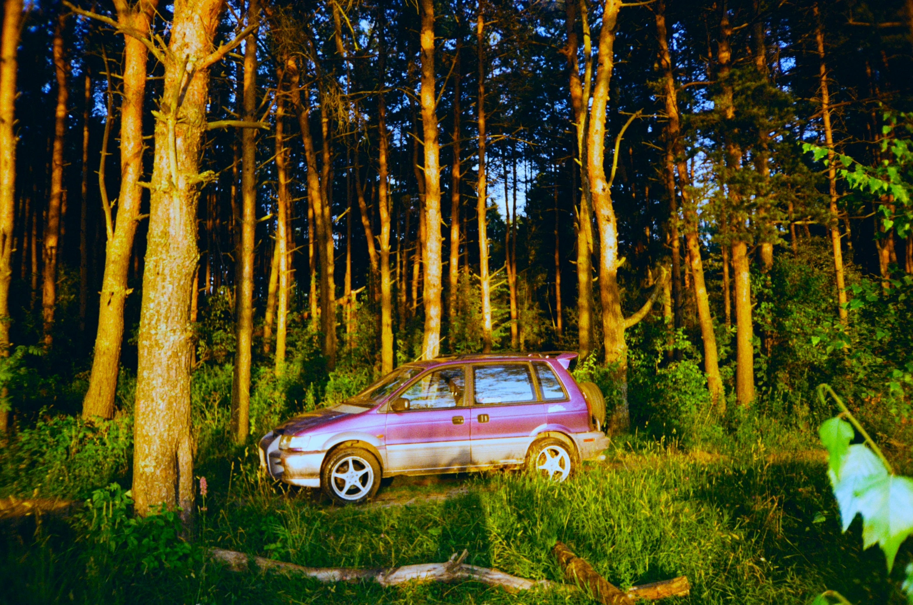red sedan parked on green grass field surrounded by trees during daytime