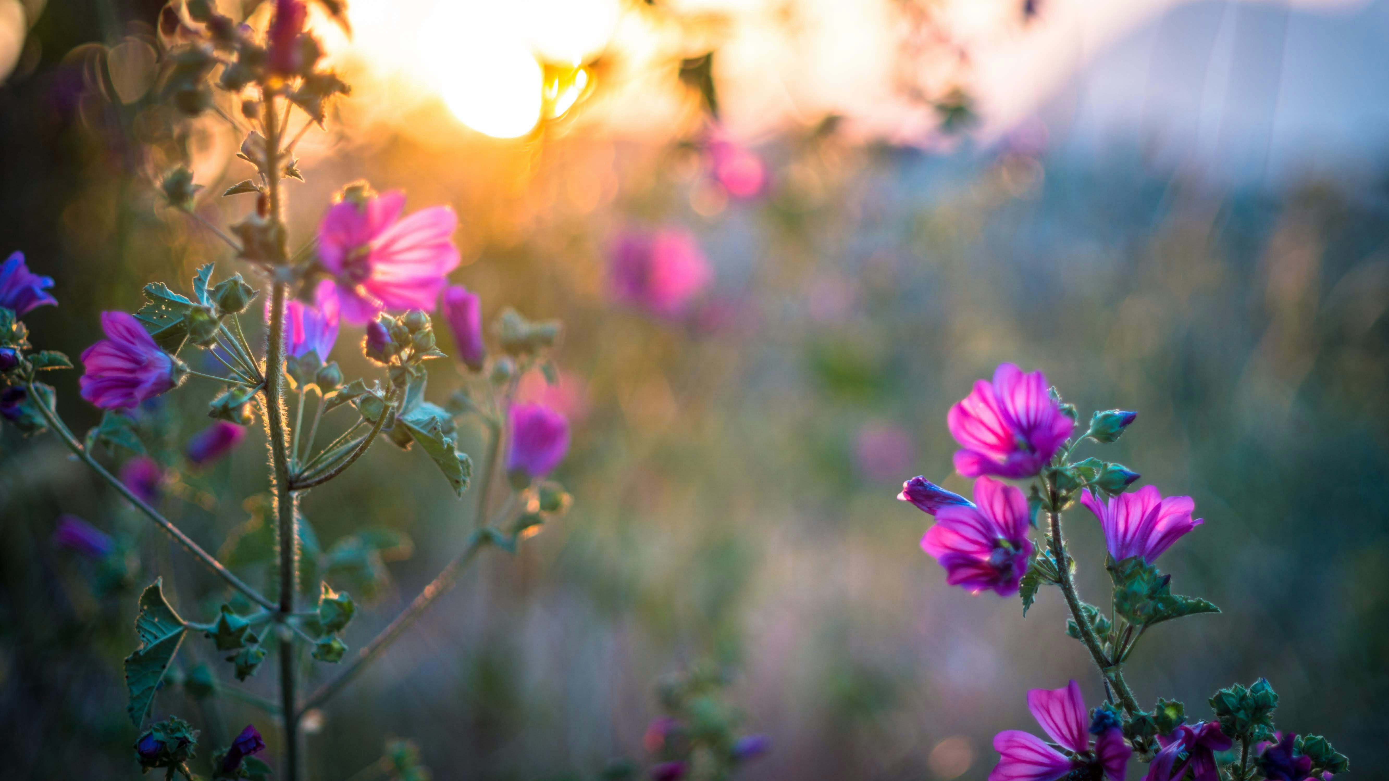 Photo by litschigraphie