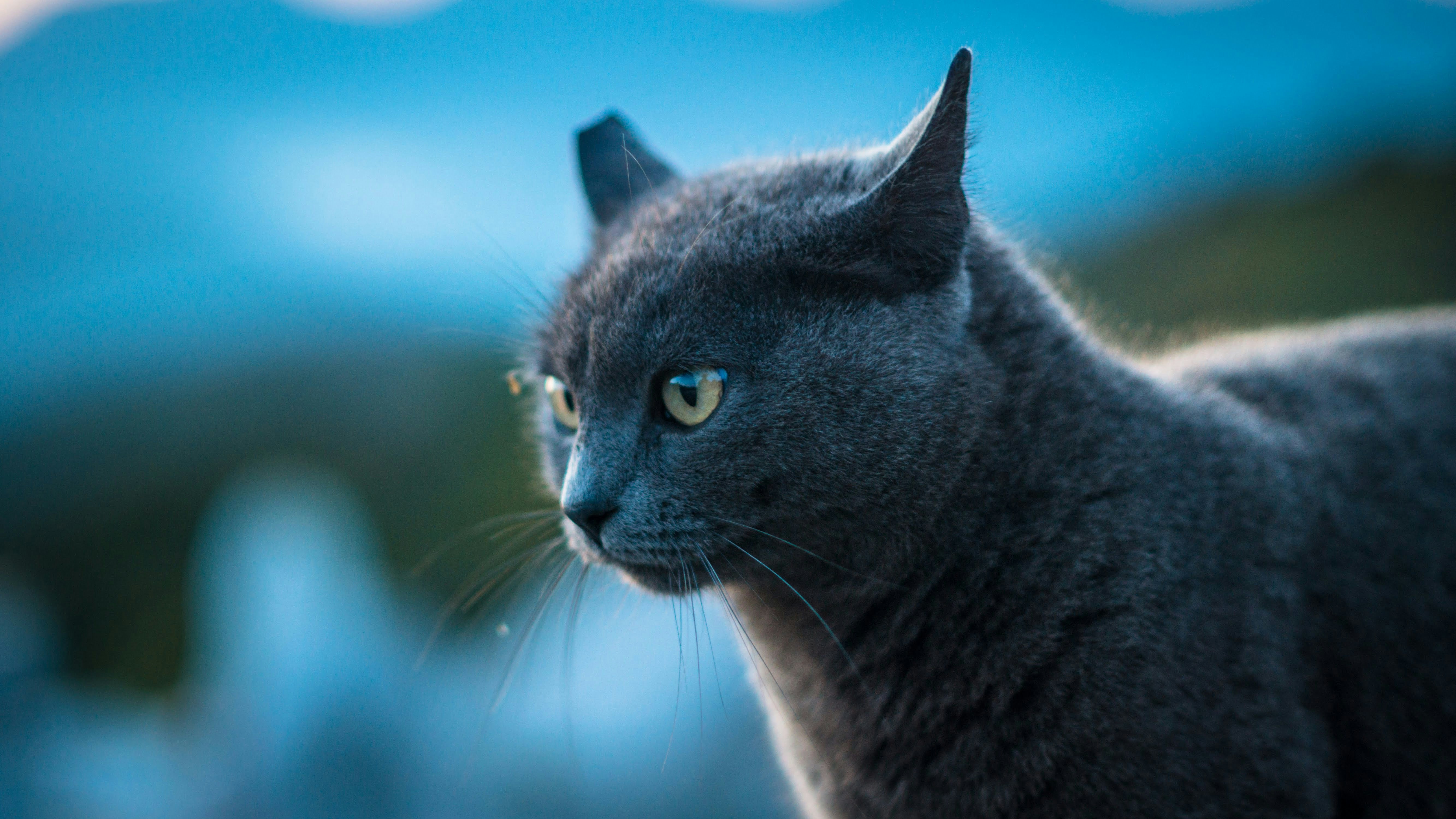 Photo by litschigraphie