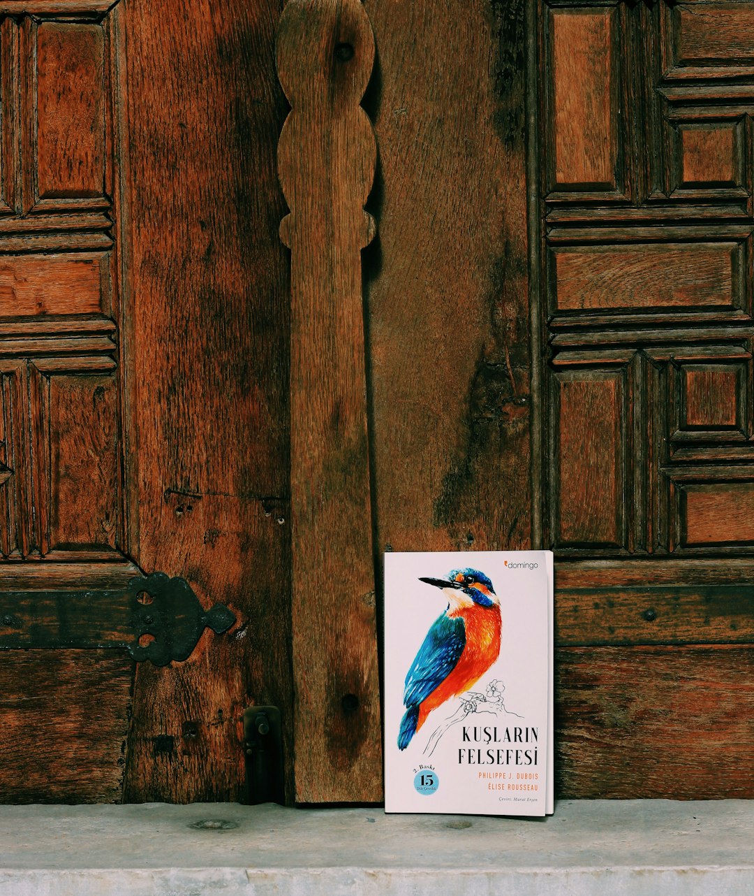 blue and white bird on brown wooden door