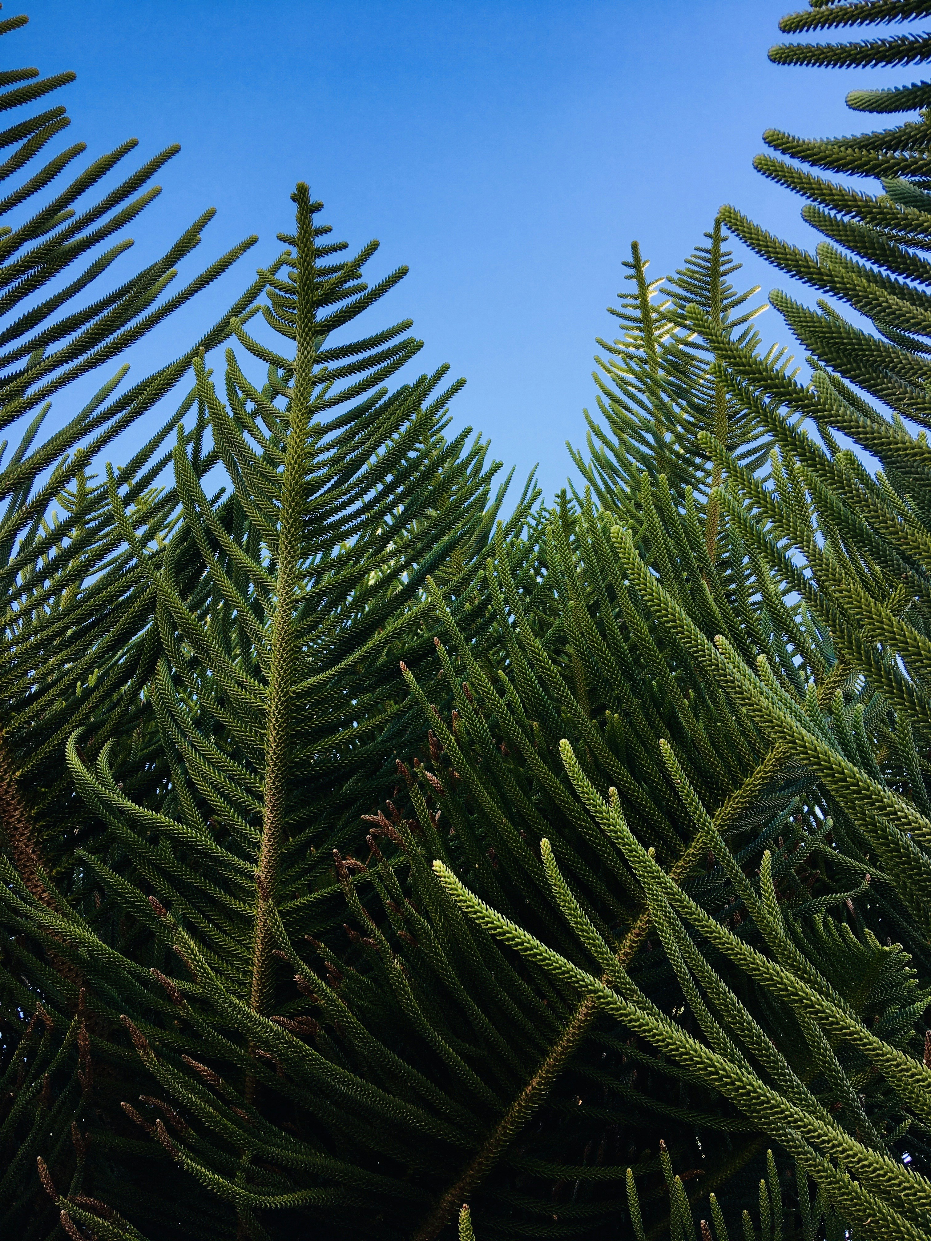 Photo by davidpisnoy