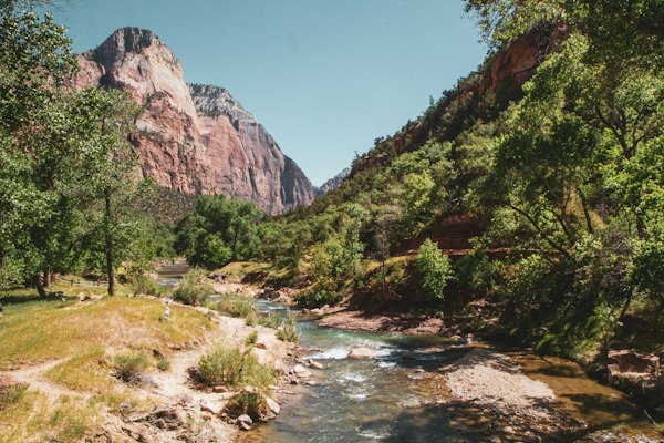 Green trees near river during daytime — Zion, United States