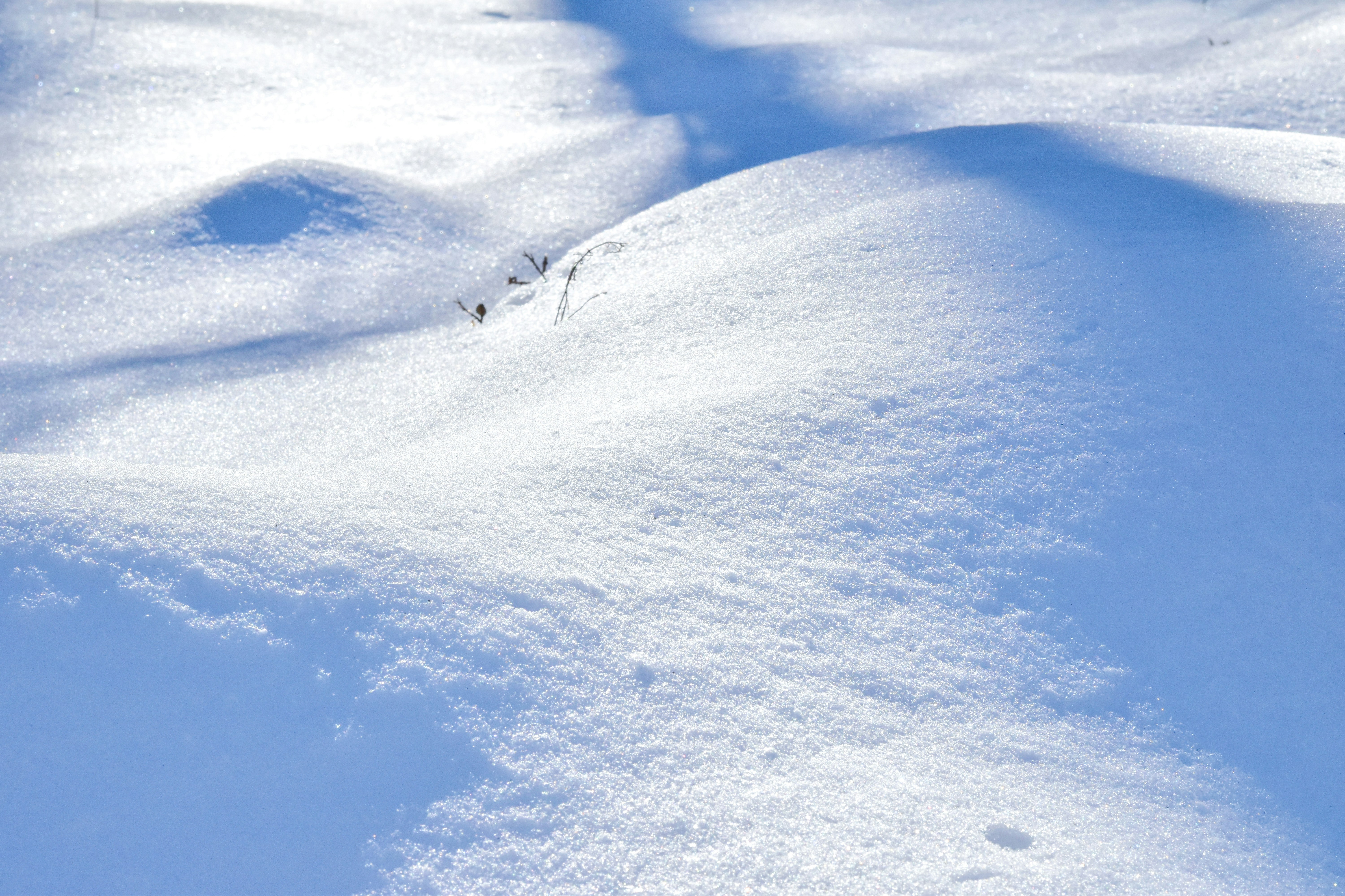 Photo by jasonmphoto