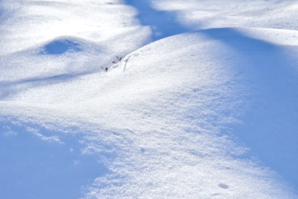 person walking on snow covered ground during daytime