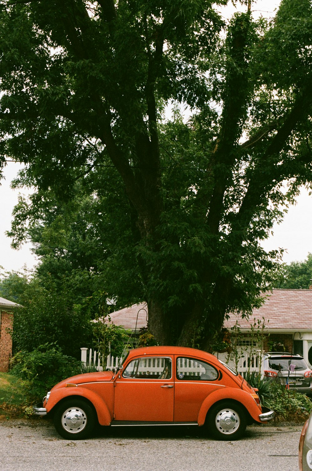 red car parked near green tree during daytime