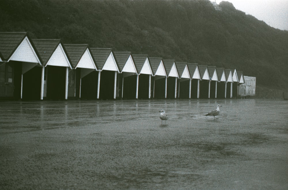 grayscale photo of wooden house near body of water