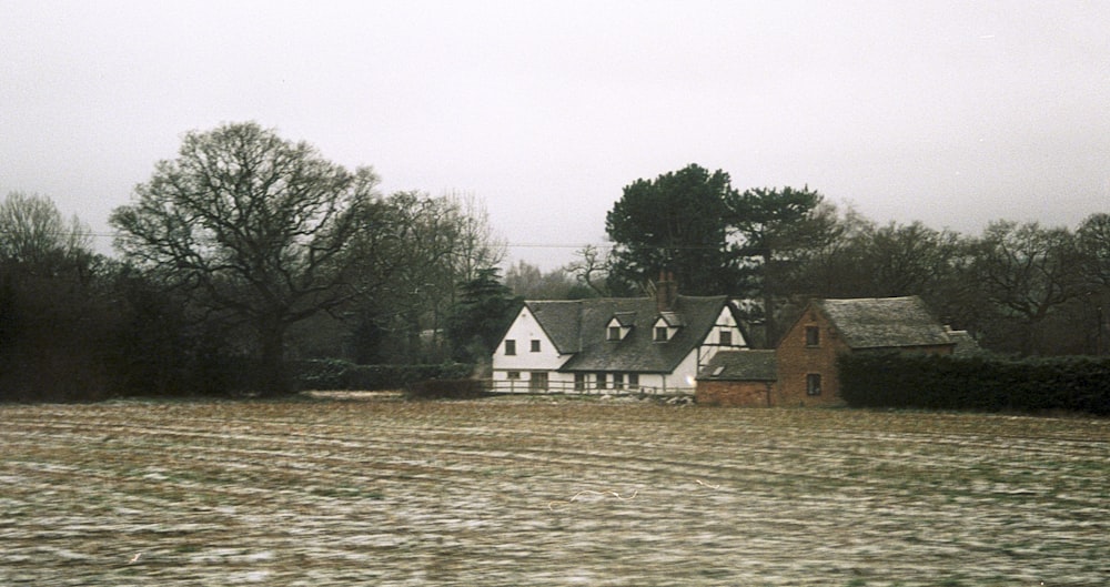 white and brown house near green trees and body of water during daytime