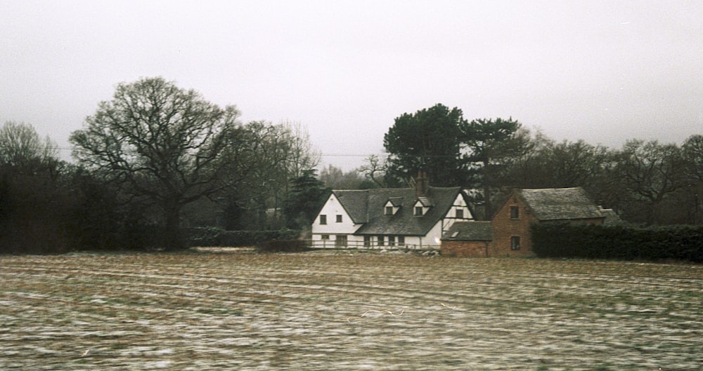 weißes und braunes Haus in der Nähe von grünen Bäumen und Gewässern tagsüber
