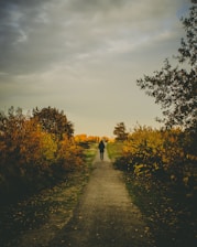 person in black jacket walking on pathway between trees during daytime
