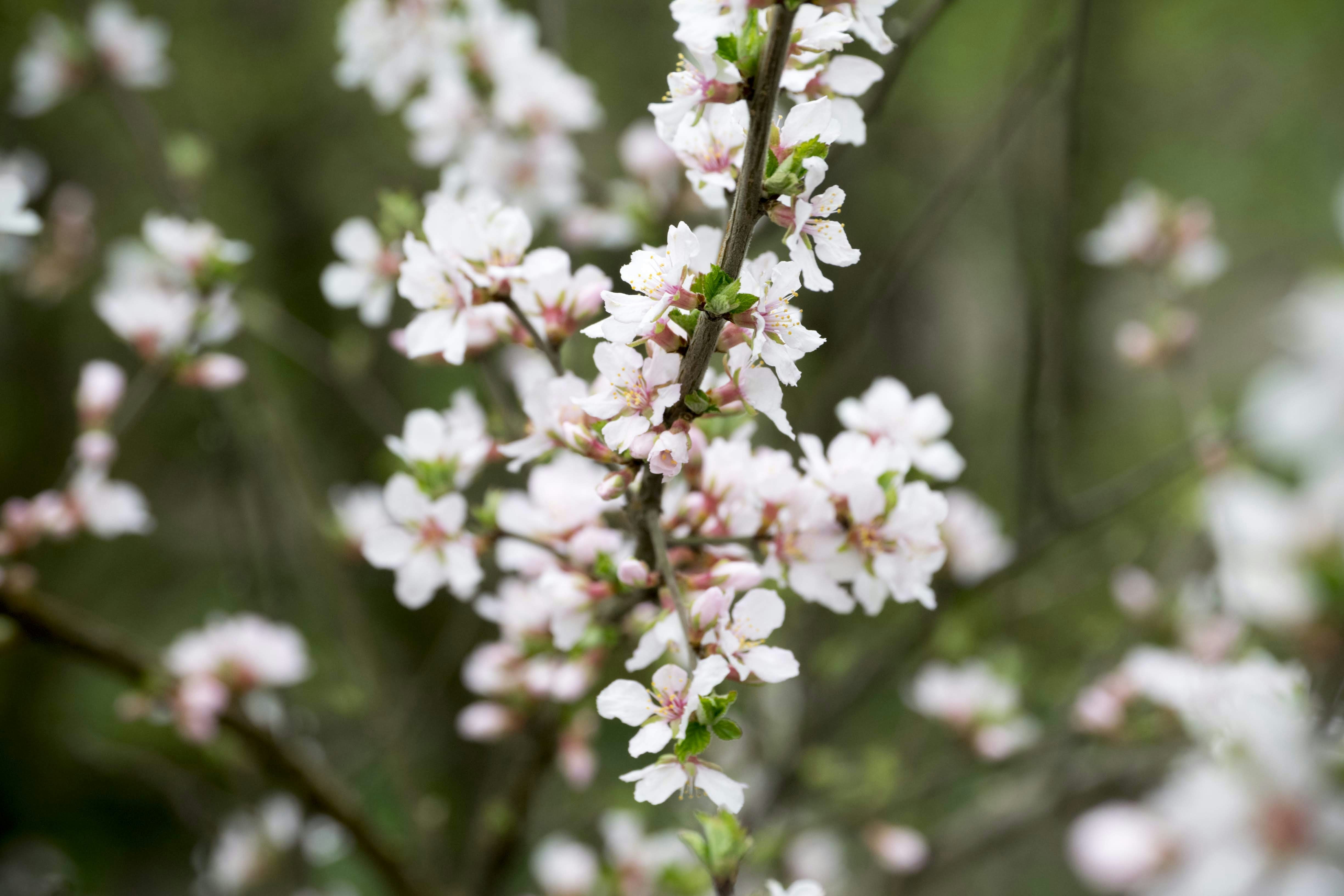 Photo by mariuskarotkis