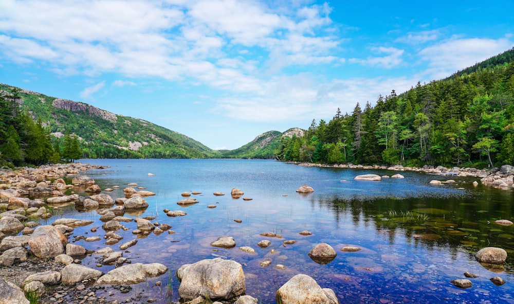 green mountains and green trees beside river under blue sky during daytime