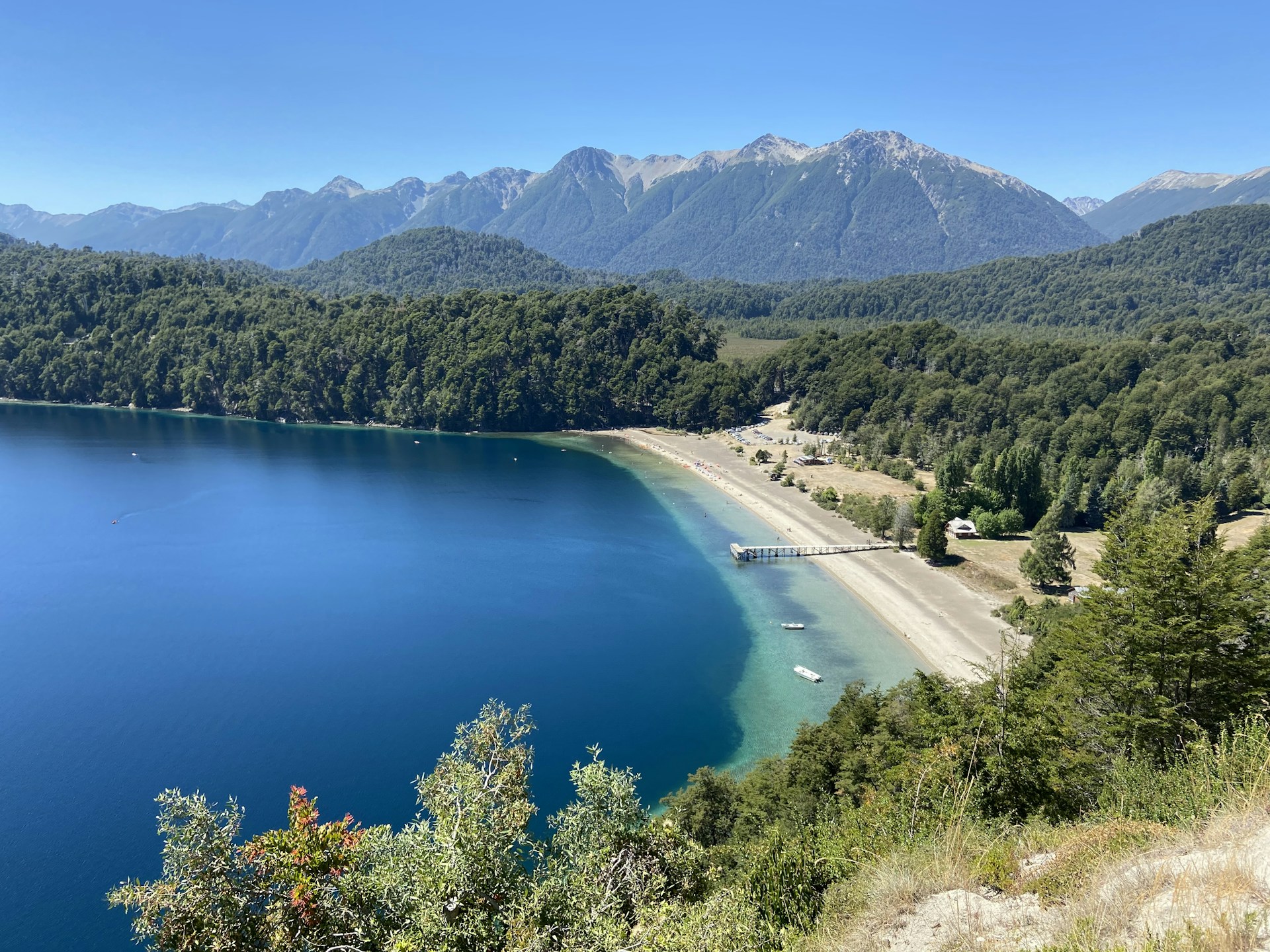 green trees near blue lake during daytime