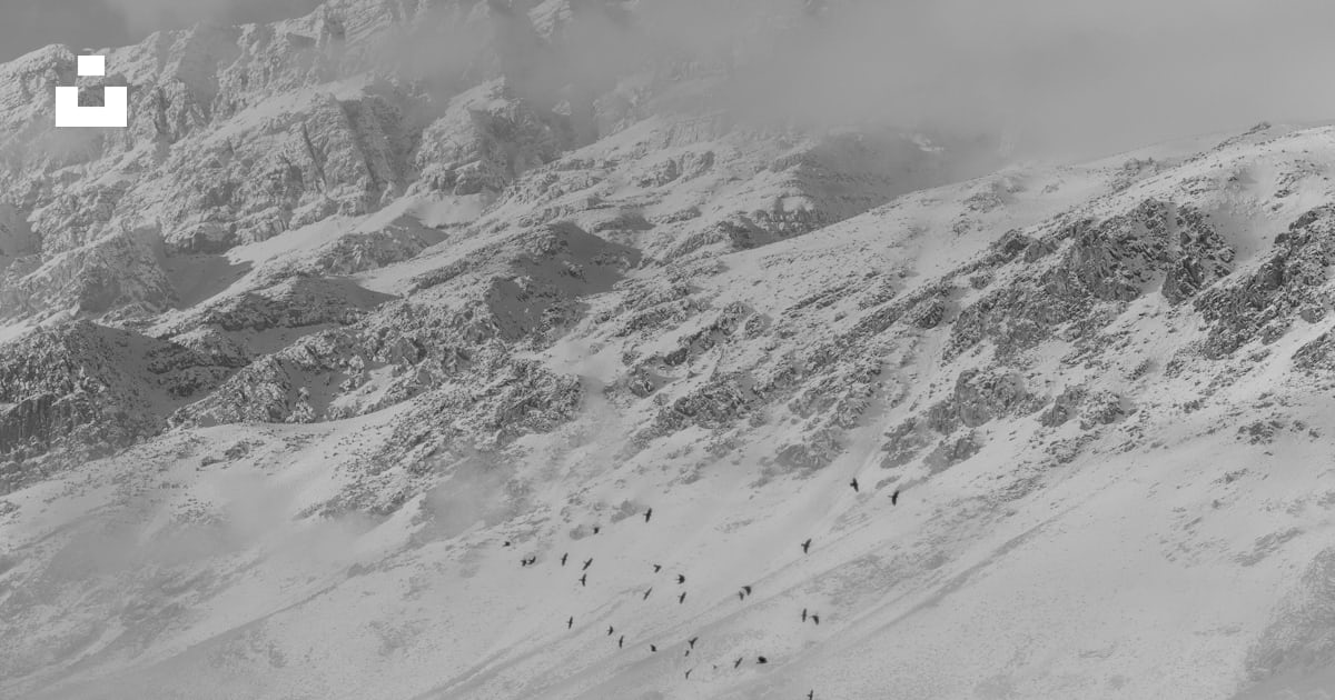 Person standing on snow covered ground near snow covered mountain