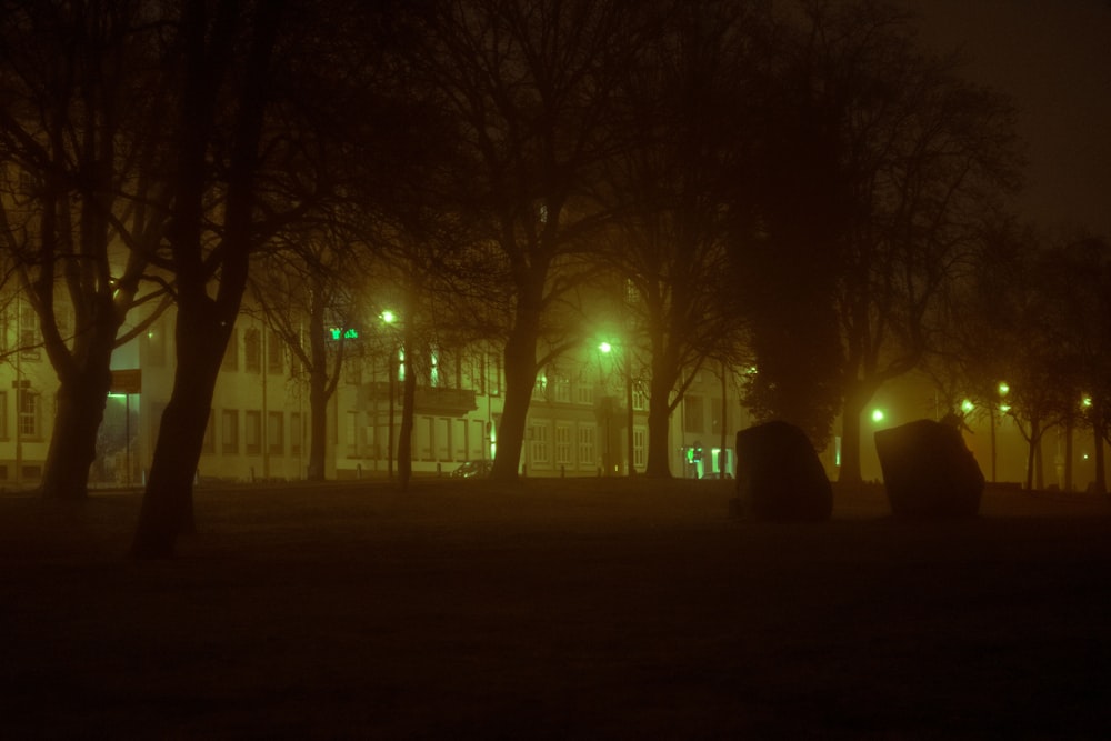 trees with lights during night time