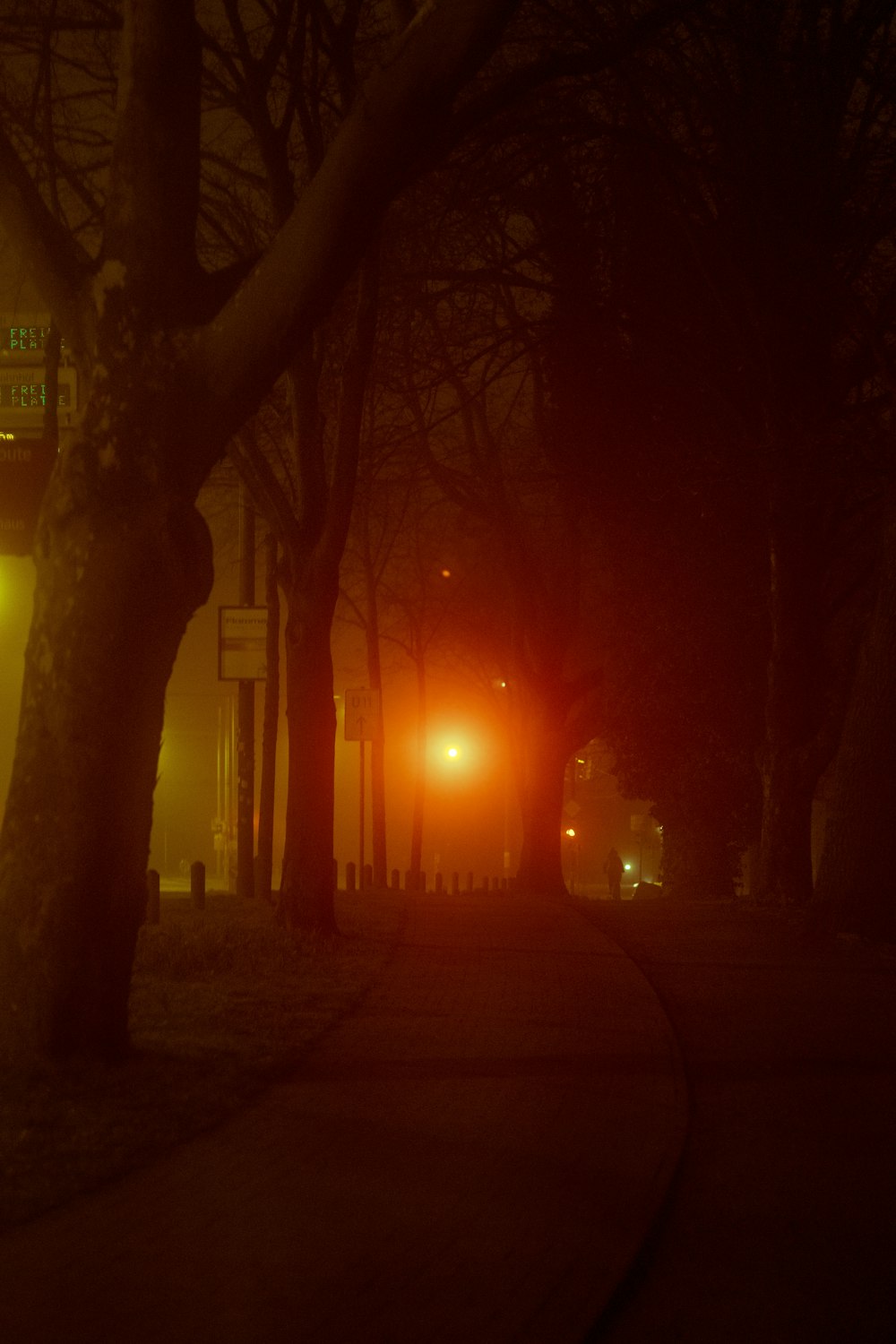 bare trees on sidewalk during night time