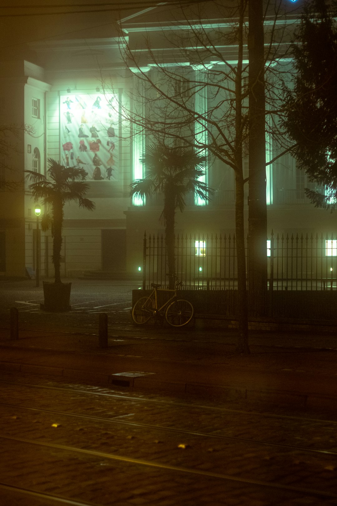 bare trees near building during night time