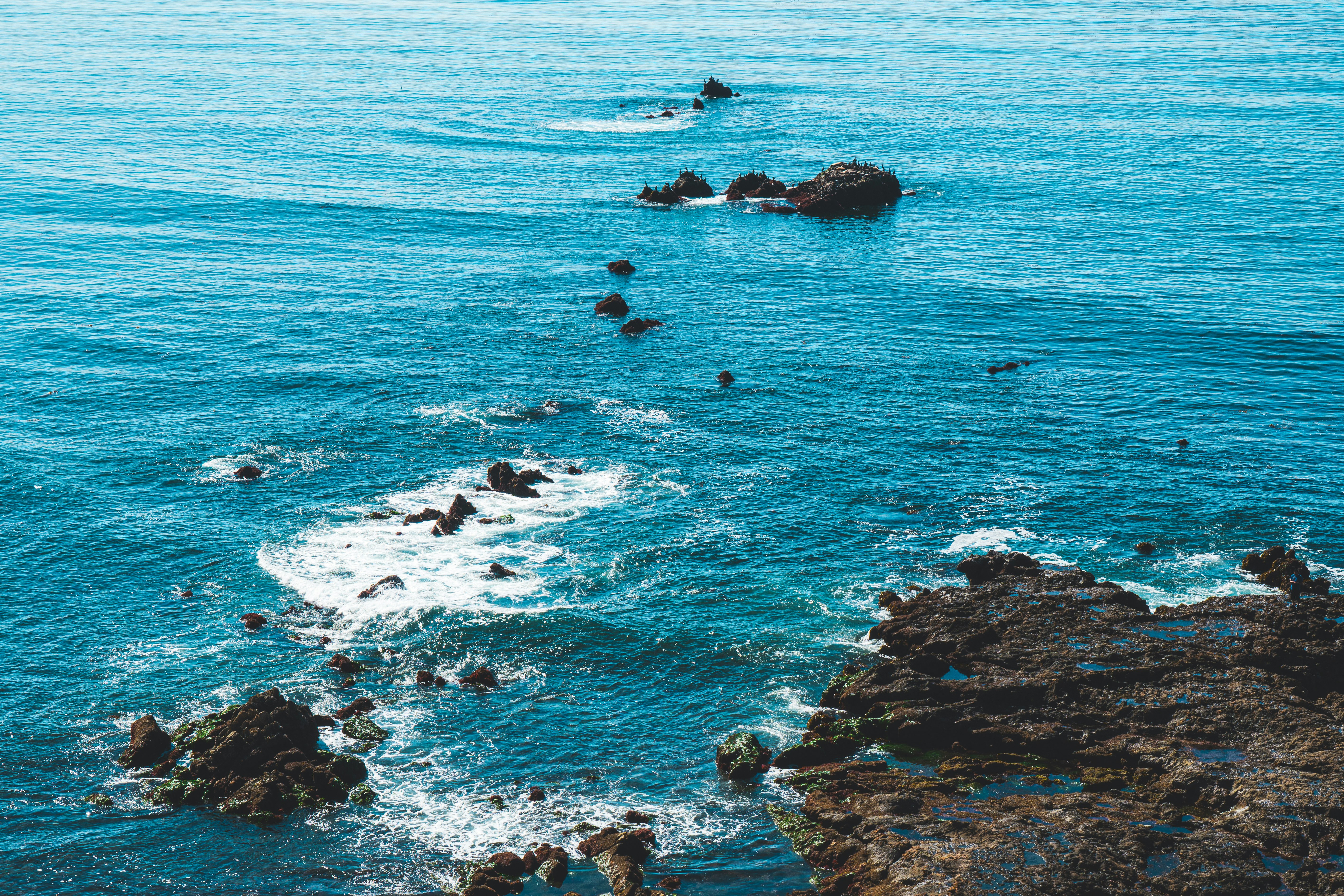 people on rocky shore during daytime