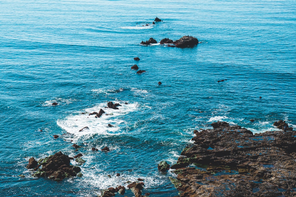 people on rocky shore during daytime