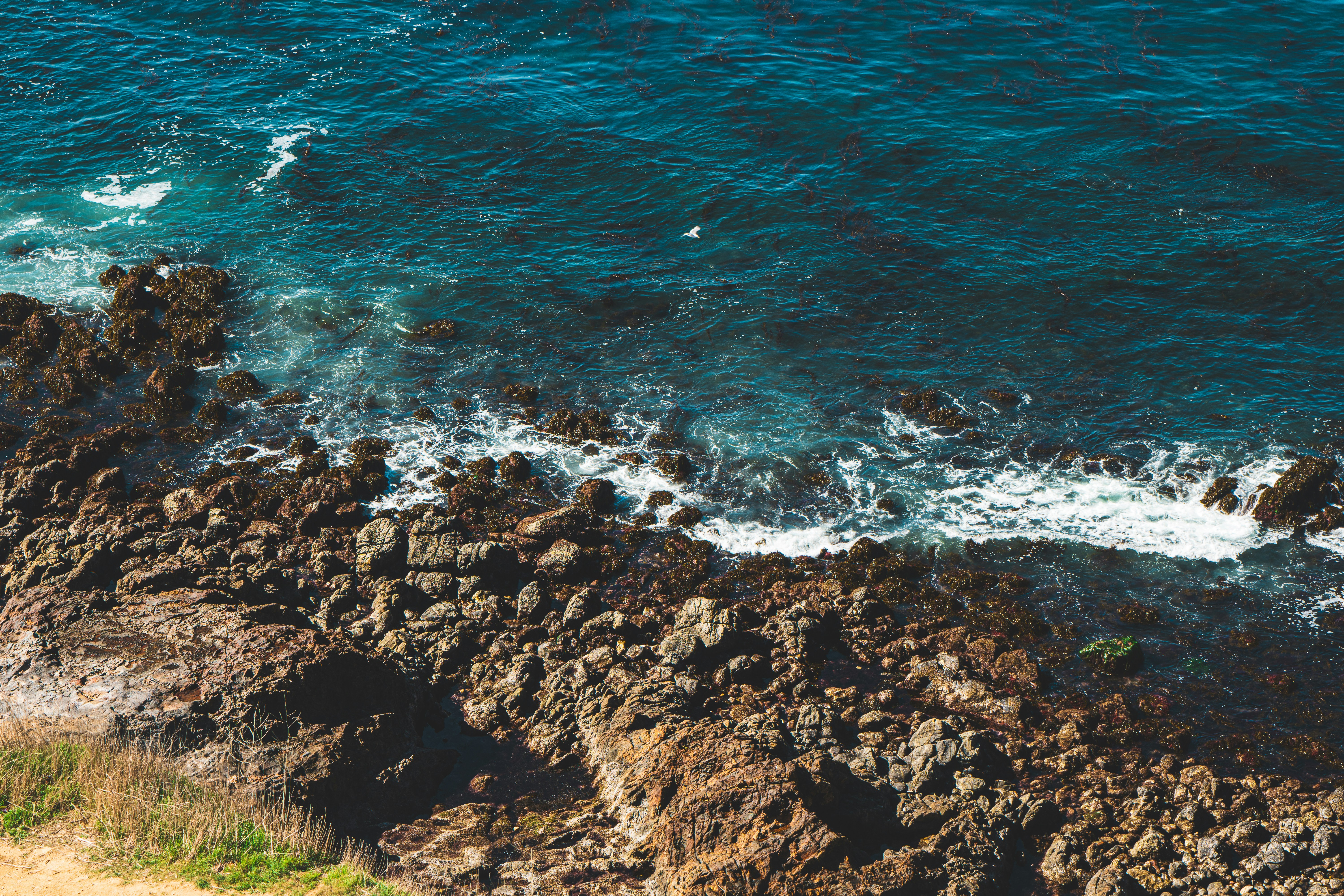 Photo by jeffreykeenan