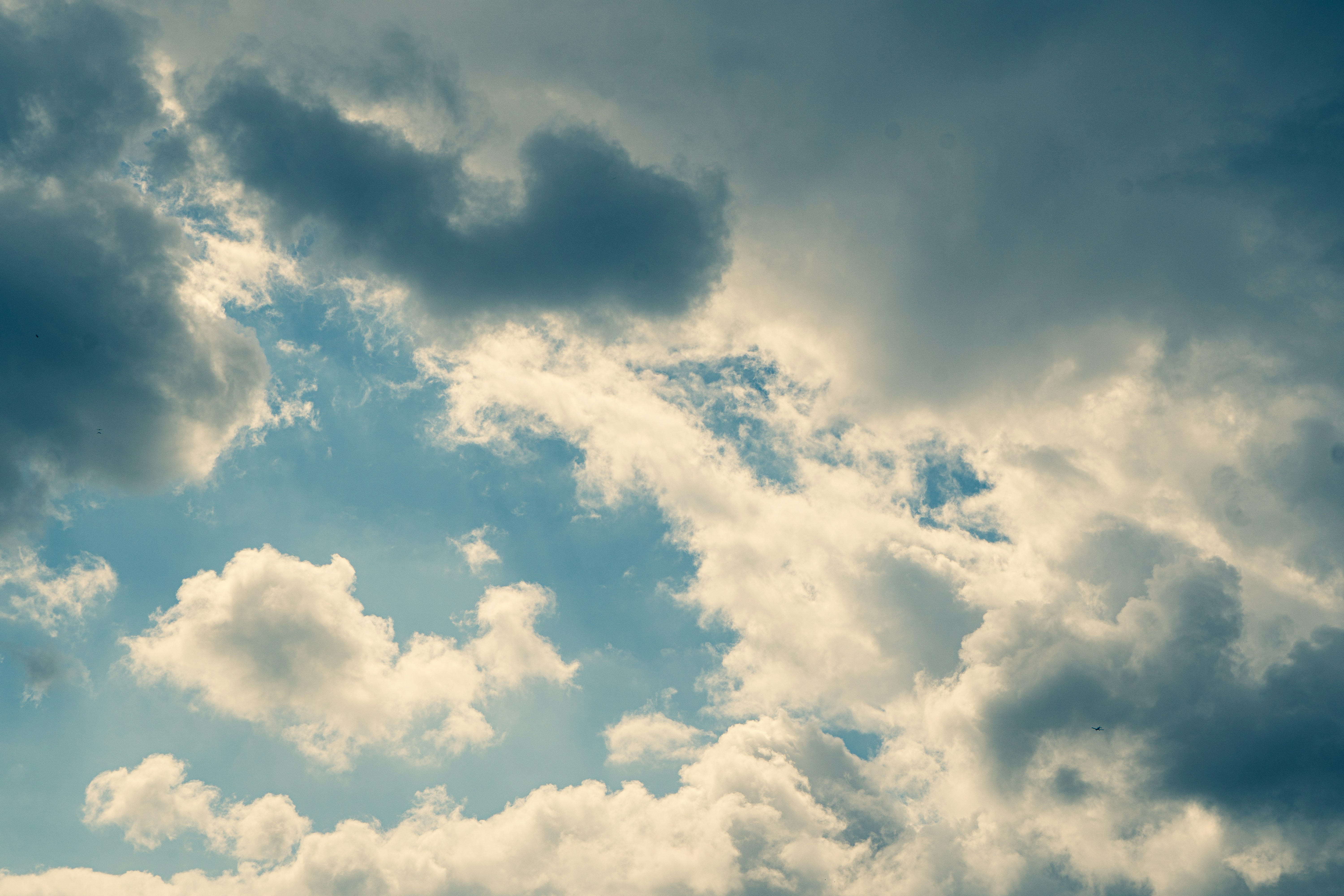 Photo by jeffreykeenan