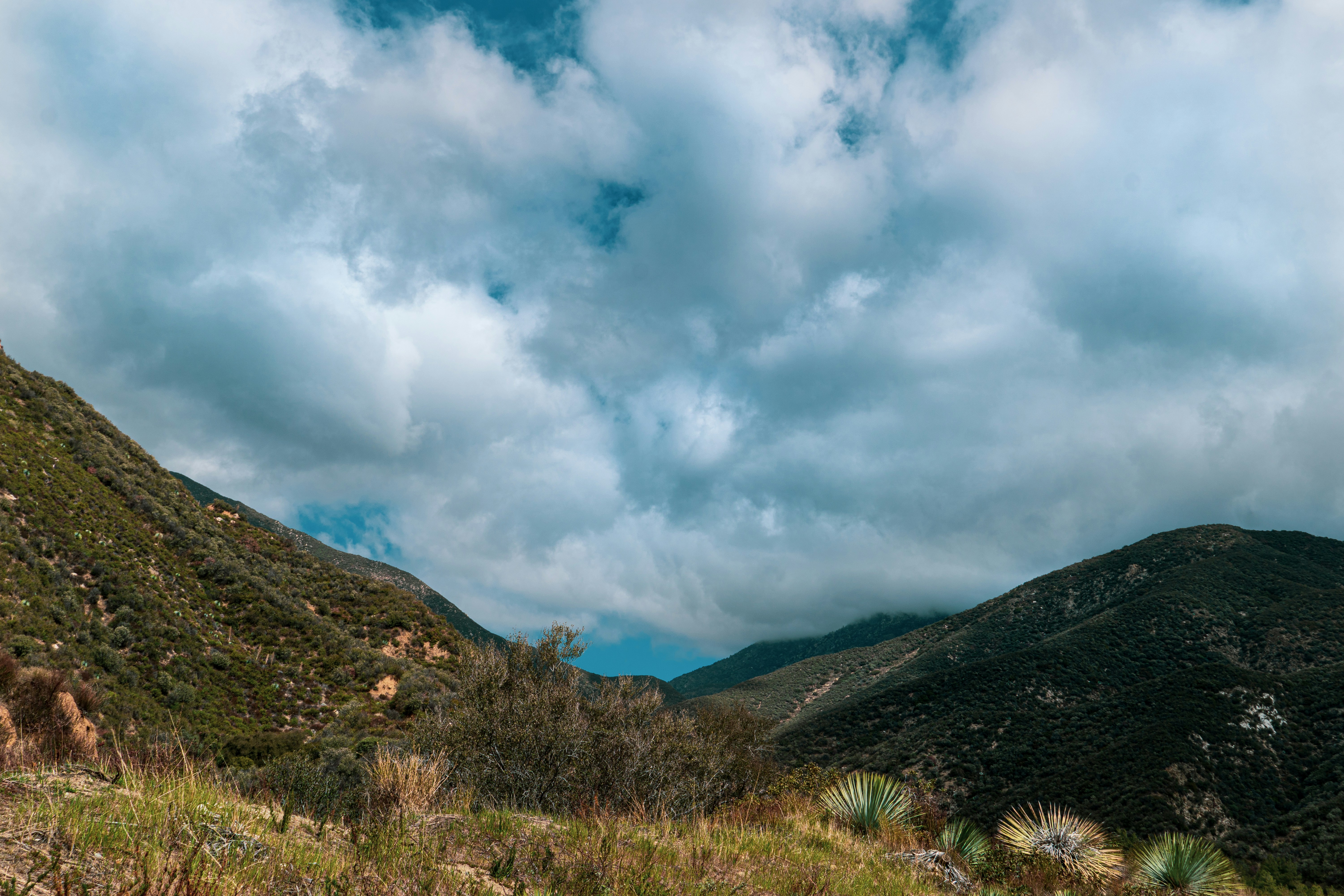 Photo by jeffreykeenan