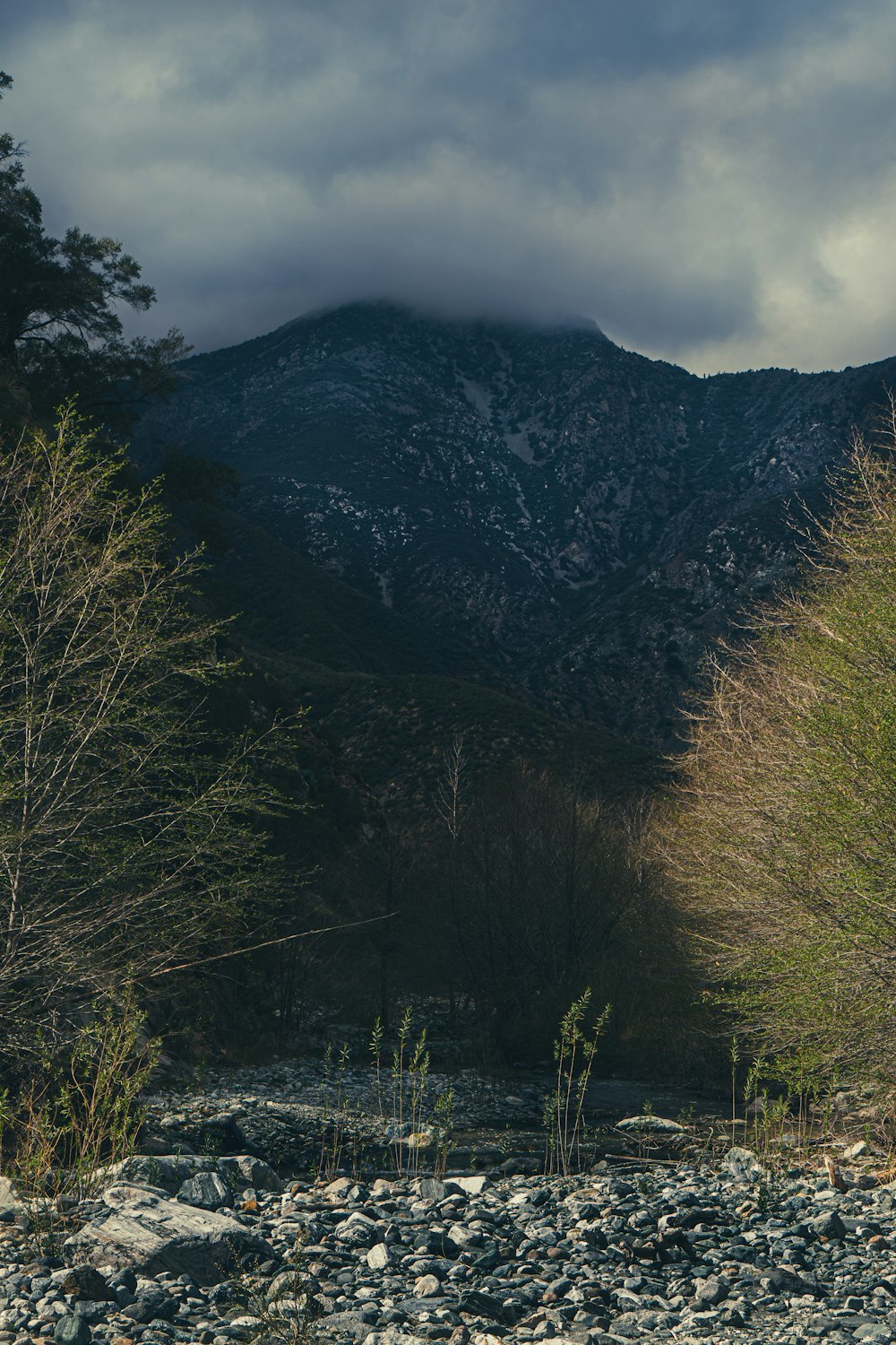 campo di erba verde vicino alla montagna durante il giorno