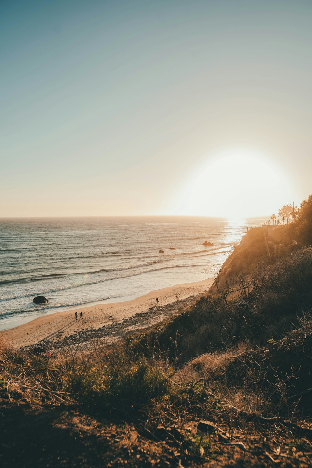 people walking on beach shore during daytime