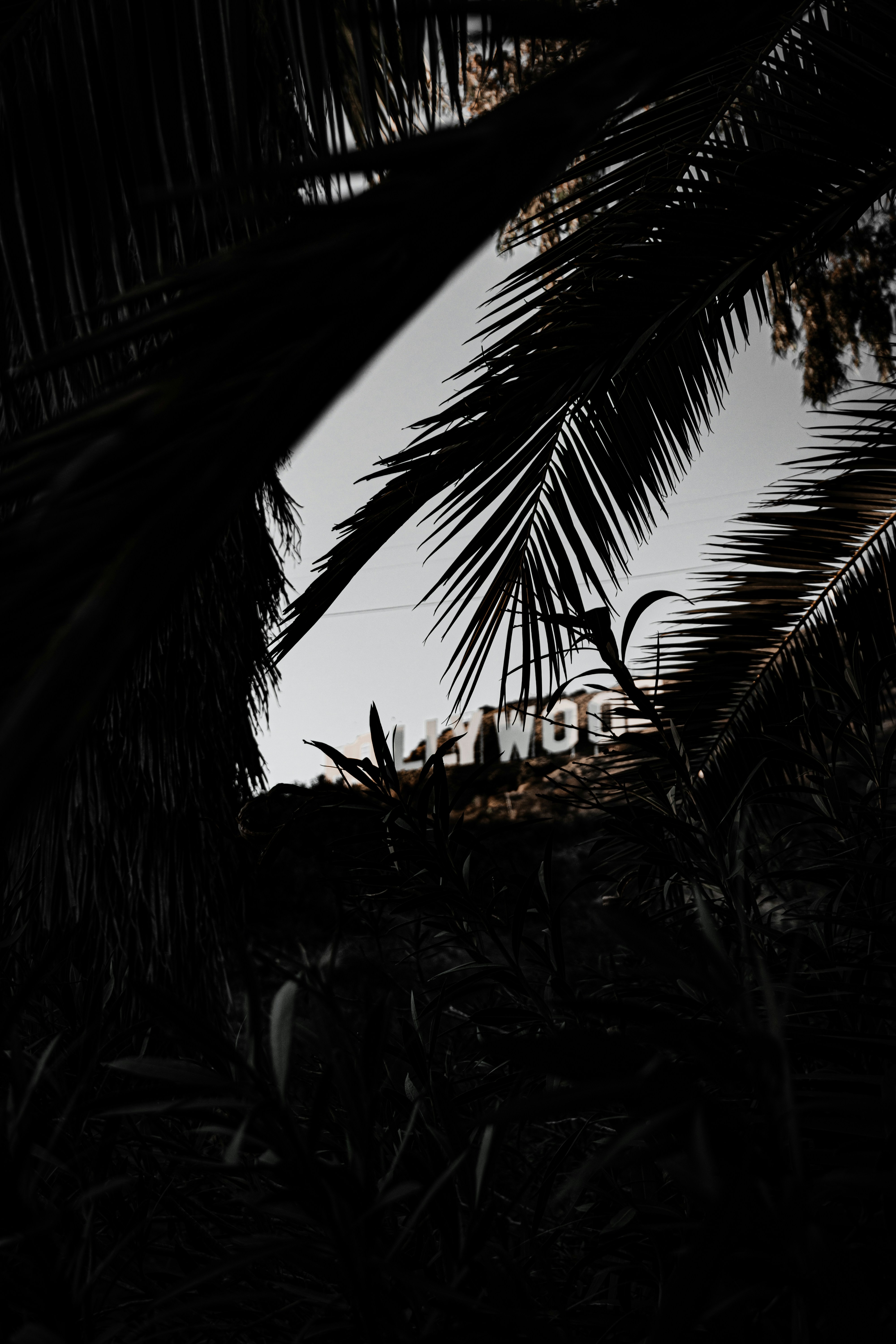 Photo by danny_lincoln