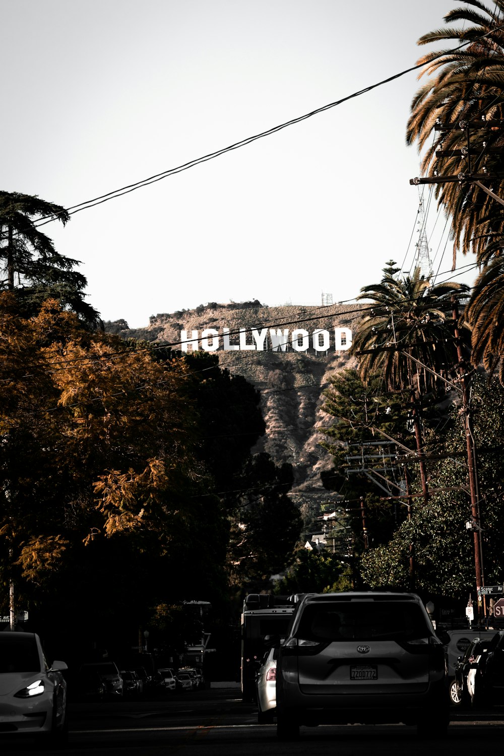 a hollywood sign on a hill with palm trees in the foreground