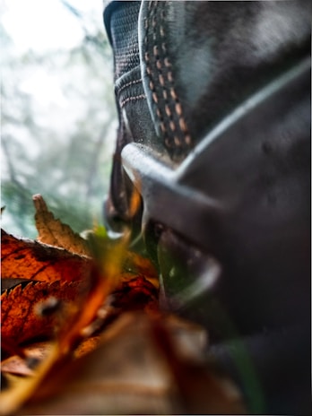 Close-up of durable hiking boots kicking up autumn leaves on a forest path.