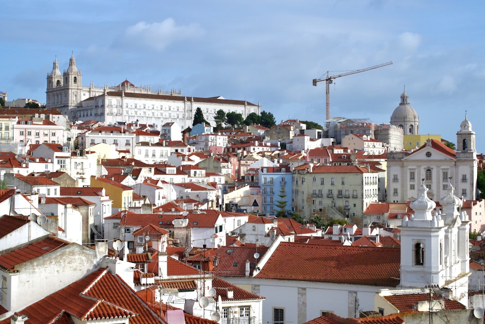 white and brown concrete buildings during daytime