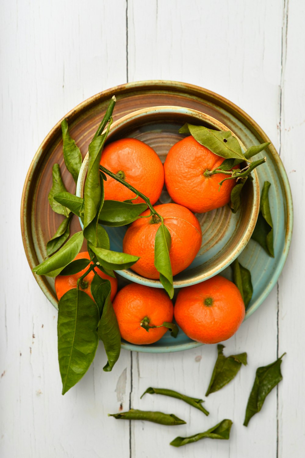 orange fruits in green round plastic container