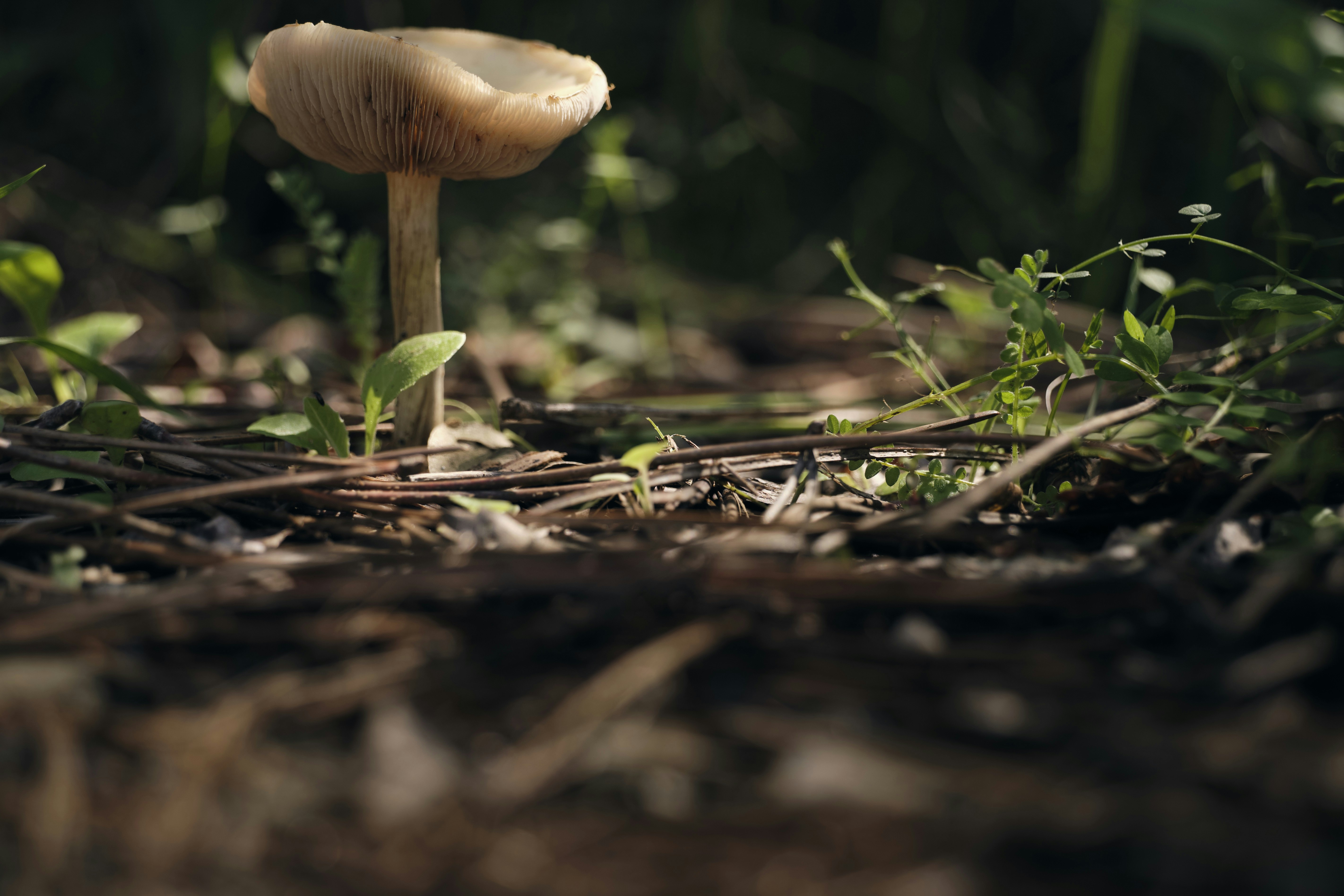 Photo by victor_vector