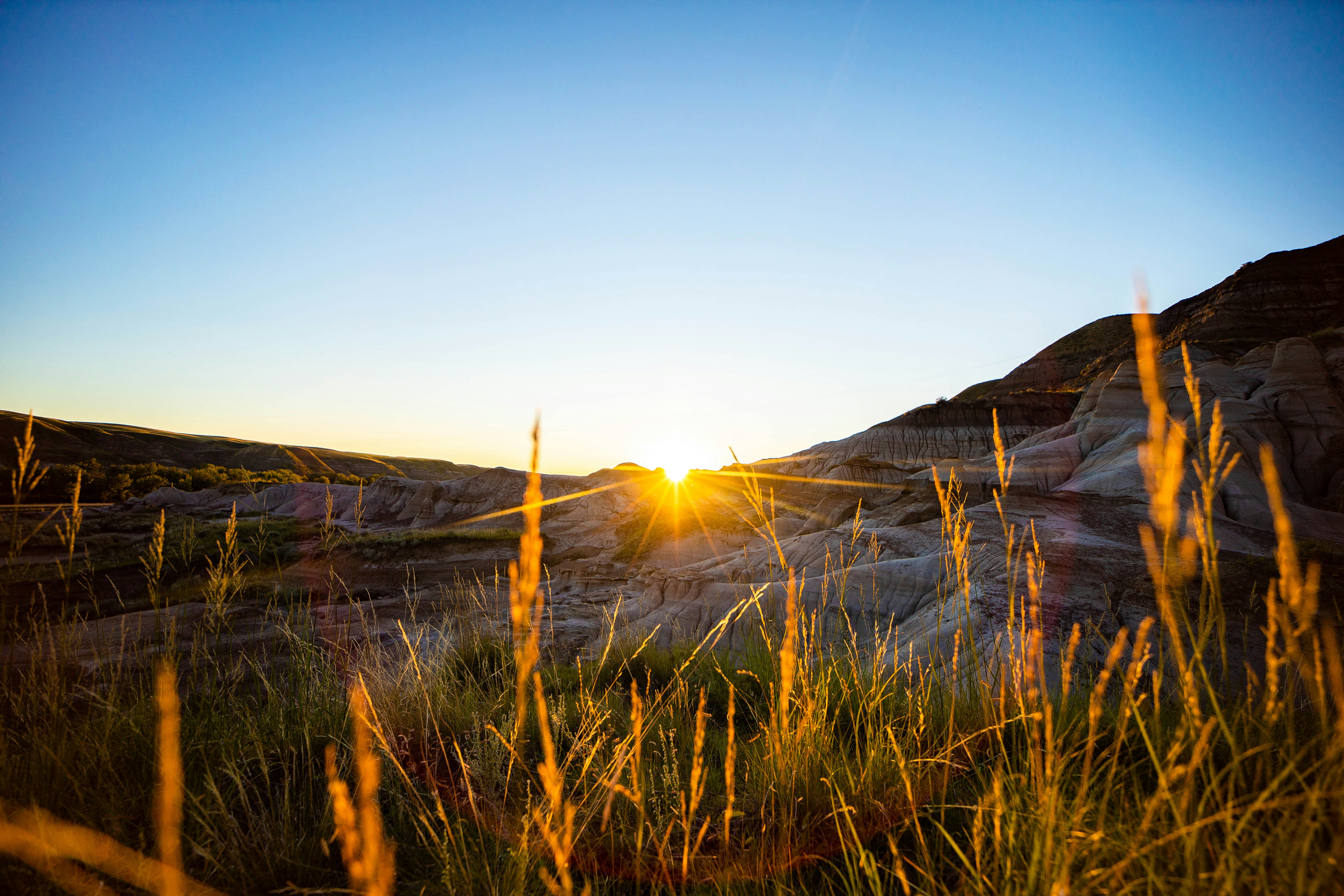 brown grass near brown mountain during daytime