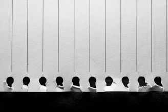 white and black line illustration