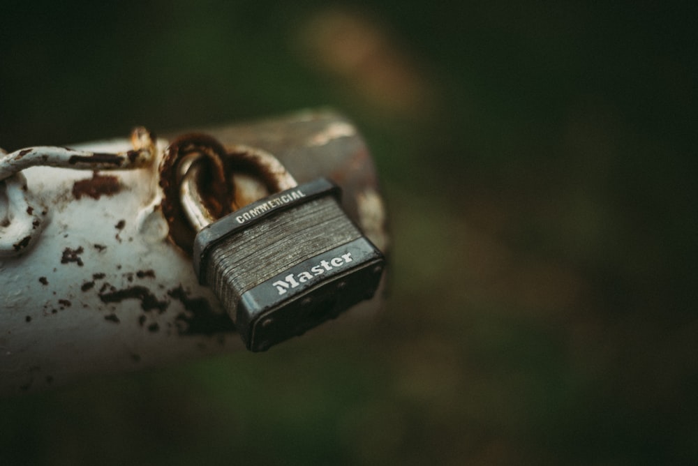 black and silver padlock on brown tree branch