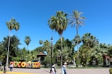 Community park nearby with walking paths and palm trees under a clear blue sky.