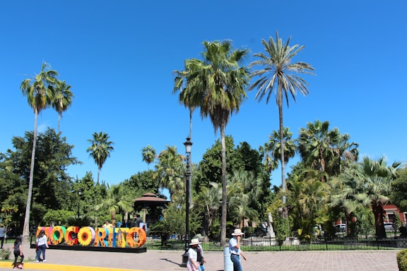 A welcoming park entrance sign surrounded by oak trees under a clear blue sky.