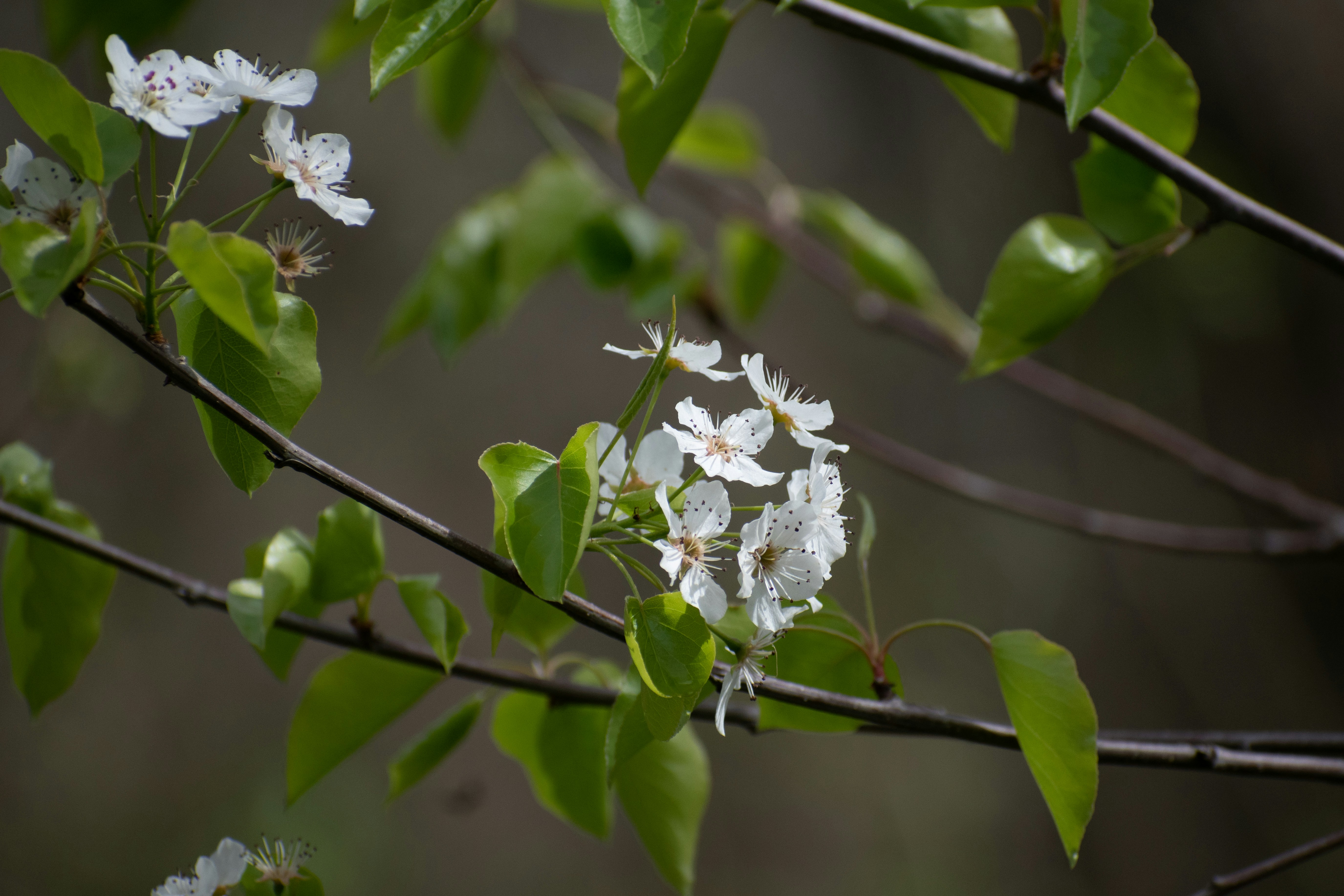 Photo by elisastonephotography