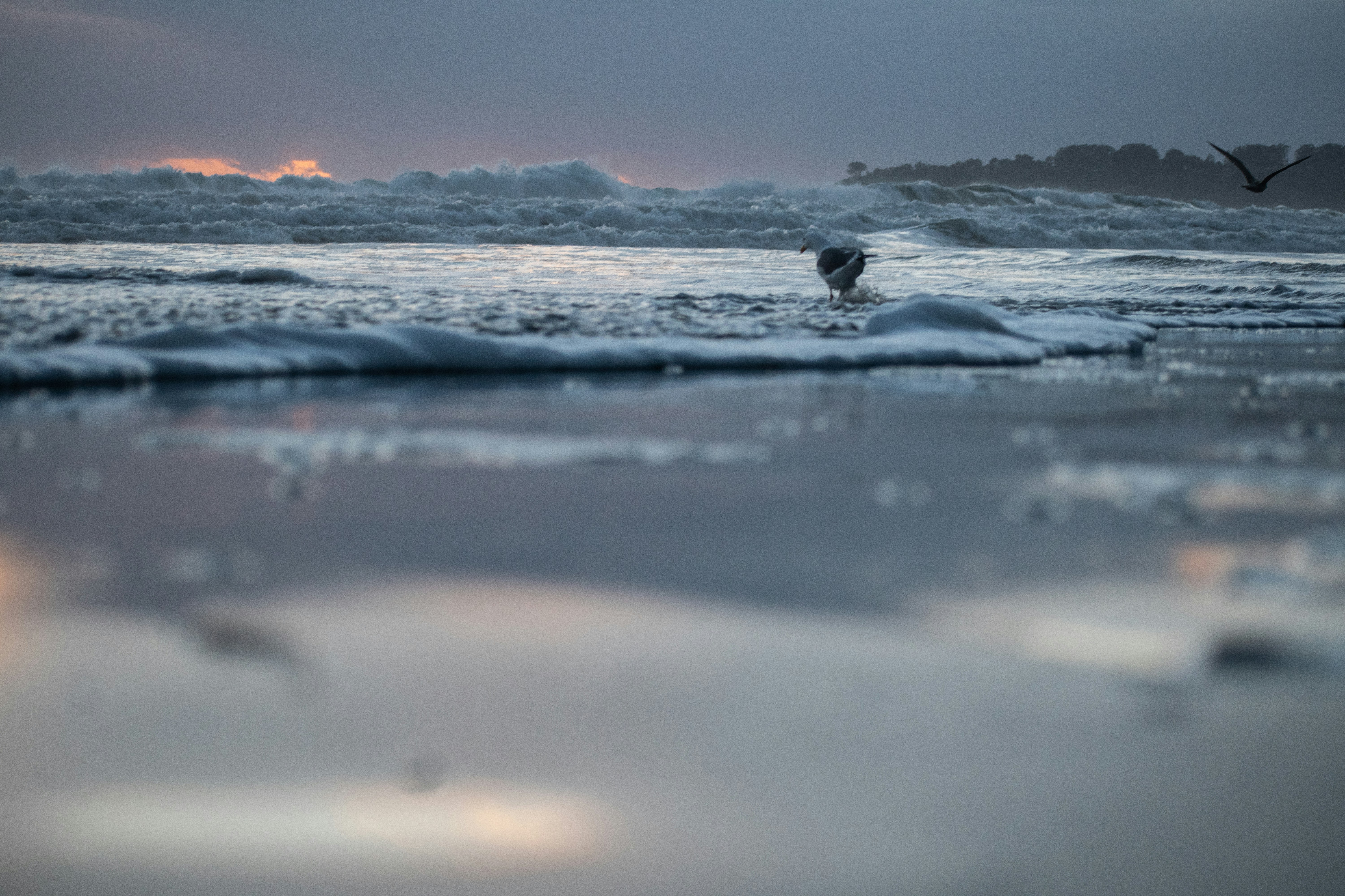 Photo by elisastonephotography