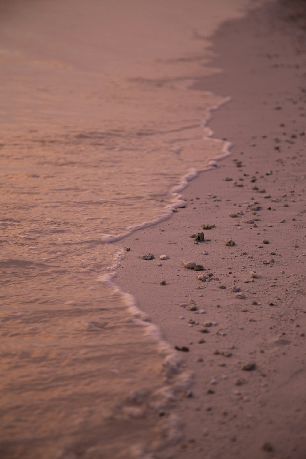 people on beach during daytime