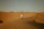 A cinematic shot of a couple embracing in a sun-drenched desert landscape with soft sand hues.