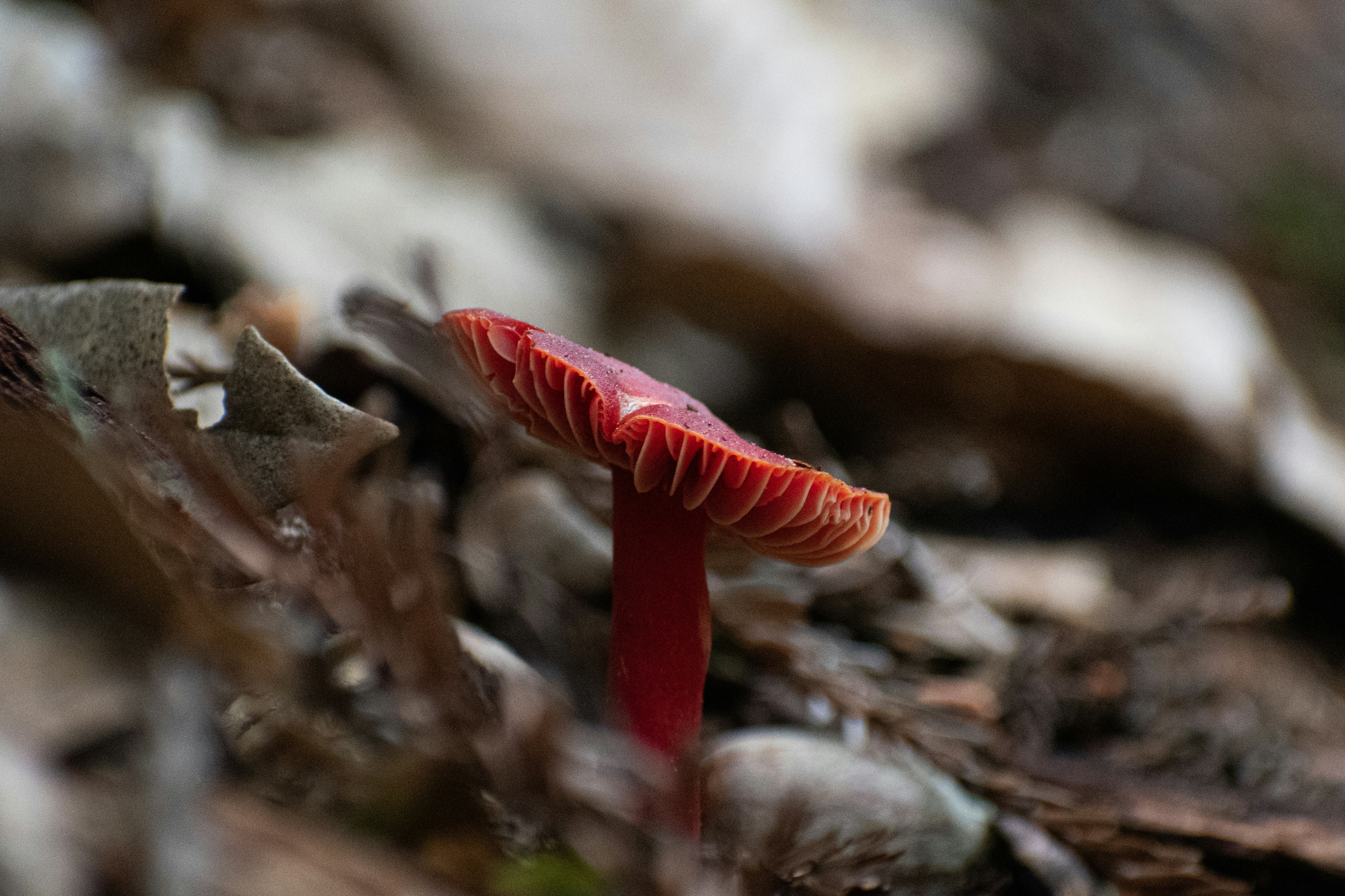 Photo by elisastonephotography