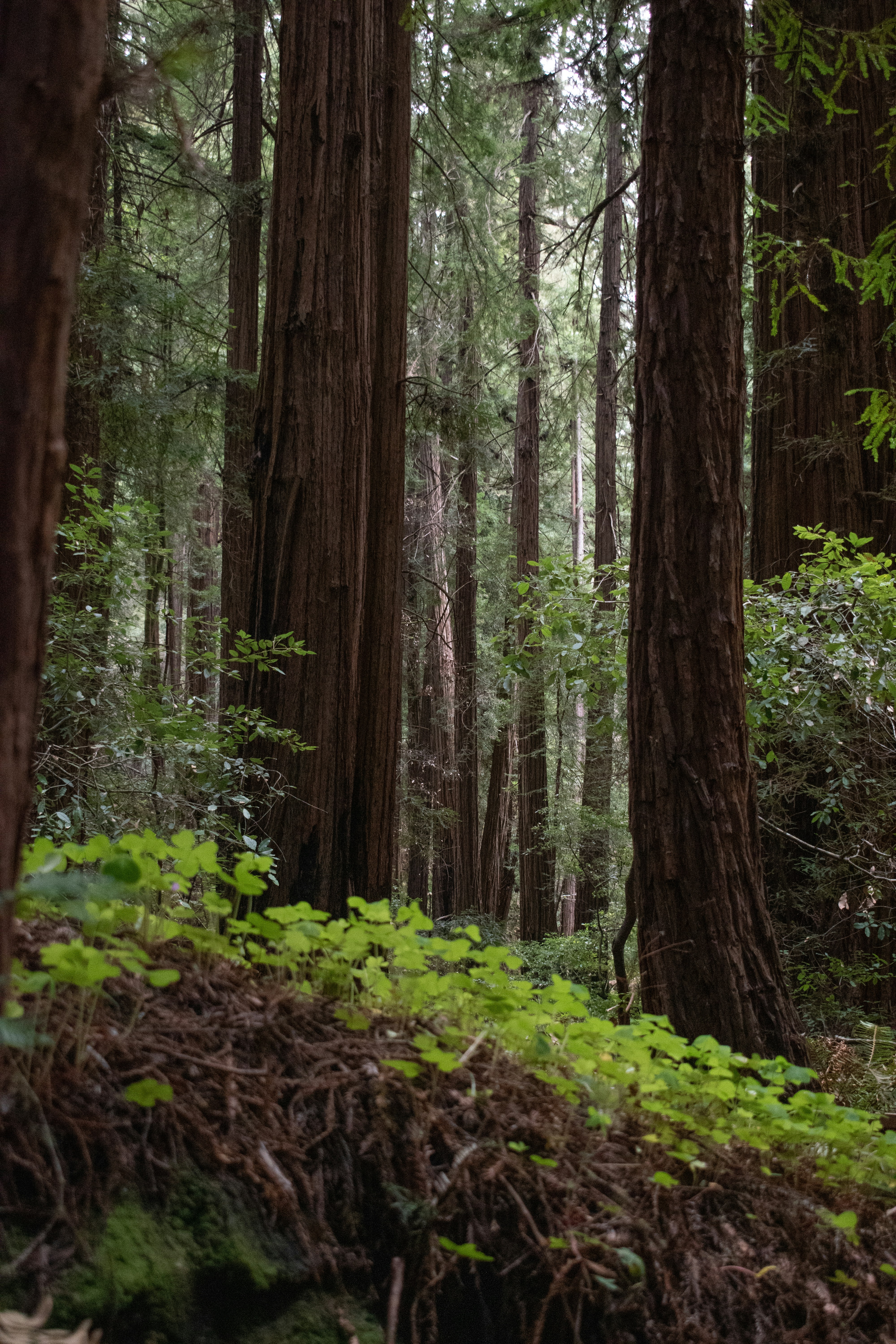 Photo by elisastonephotography