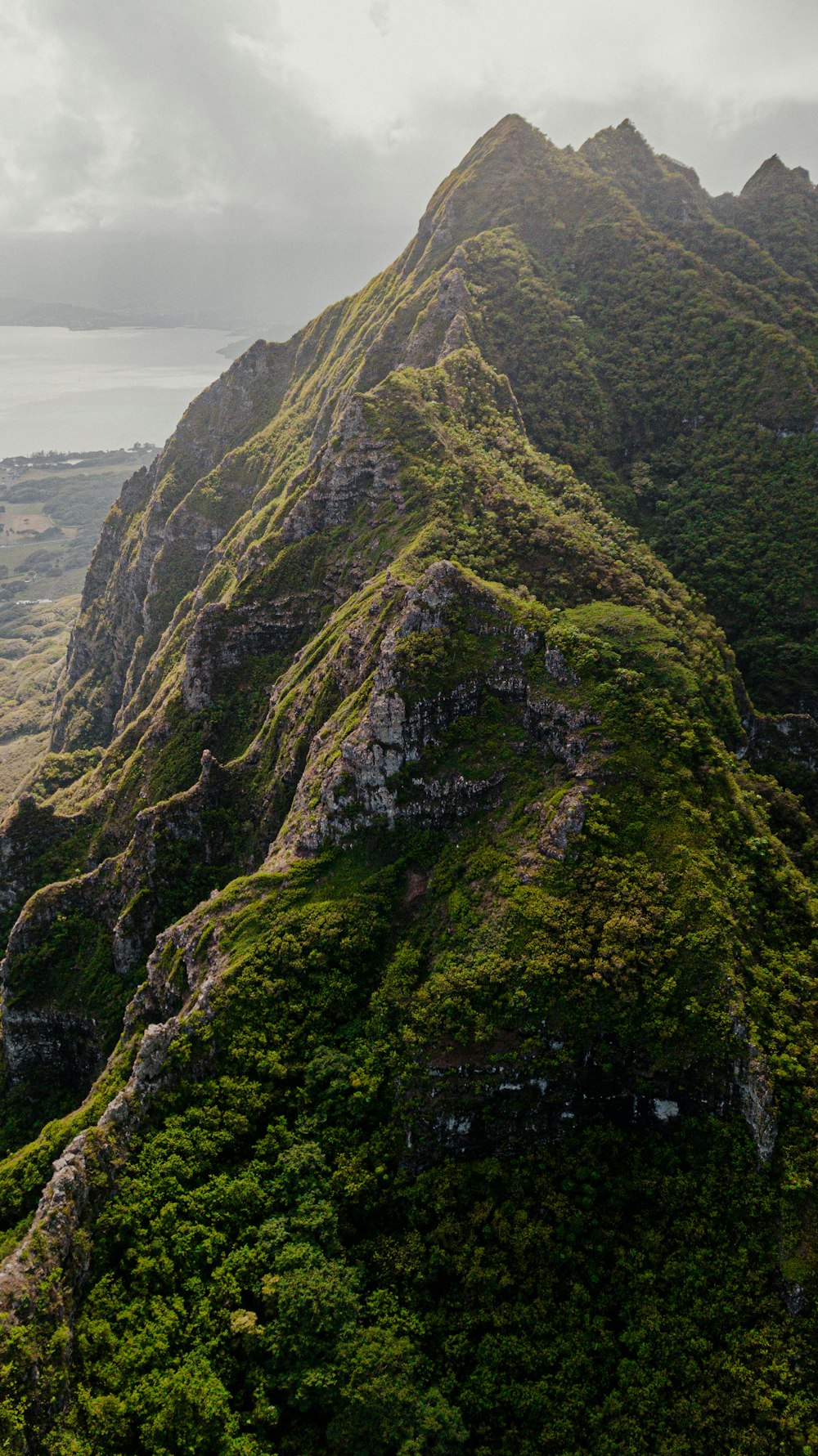 green and brown mountain under white sky during daytime